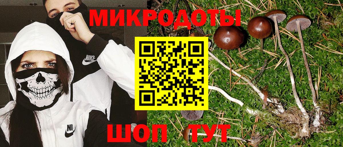 даркнет сайт  Псилоцибиновые грибы мицелий  Вход с VPN  Галлюциногенные грибы мицелий  Петрозаводск 