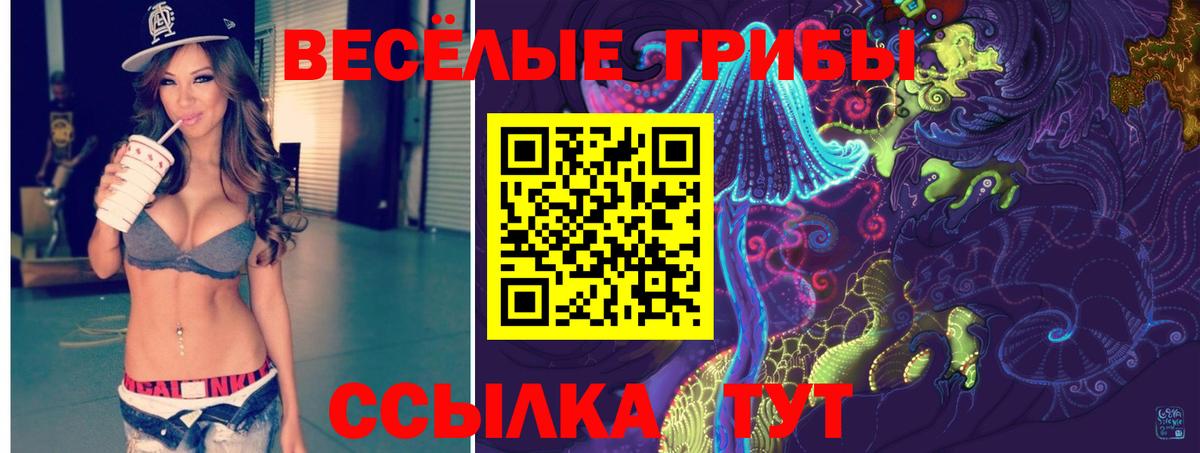 Галлюциногенные грибы GOLDEN TEACHER Петрозаводск